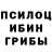 Псилоцибиновые грибы Cubensis Zerh Aetho