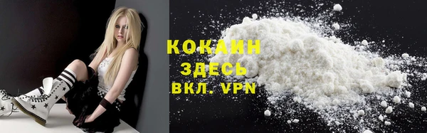 индика Абаза