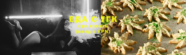 индика Абаза