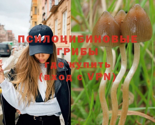 индика Алзамай