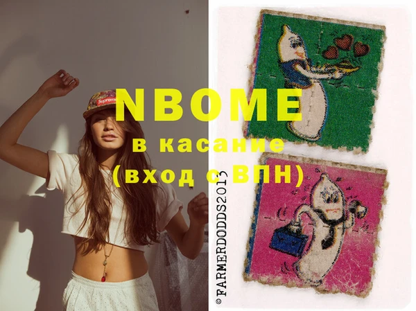 индика Абаза