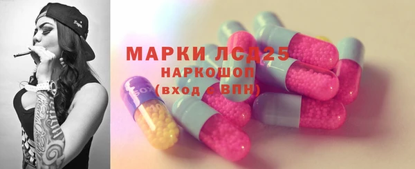 индика Абаза