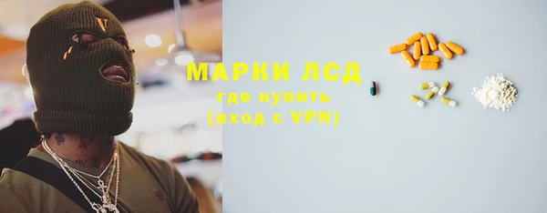 индика Абаза