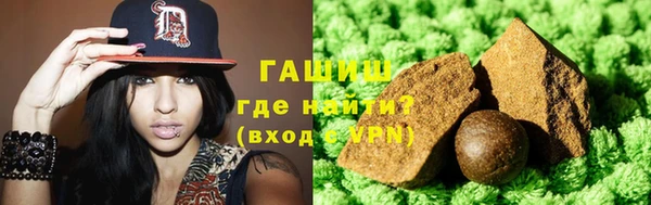индика Абаза