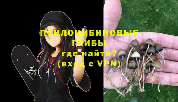 винт Абинск