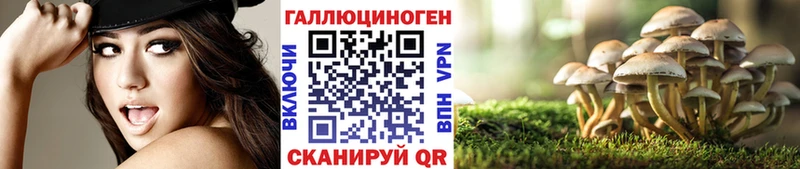 хочу наркоту дарк нет клад Псилоцибиновые грибы MAGIC MUSHROOMS Вытегра