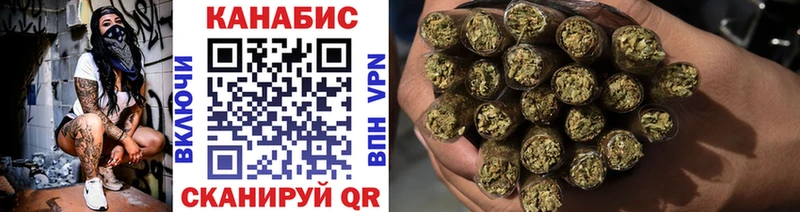 Бошки марихуана сатива  Вытегра 